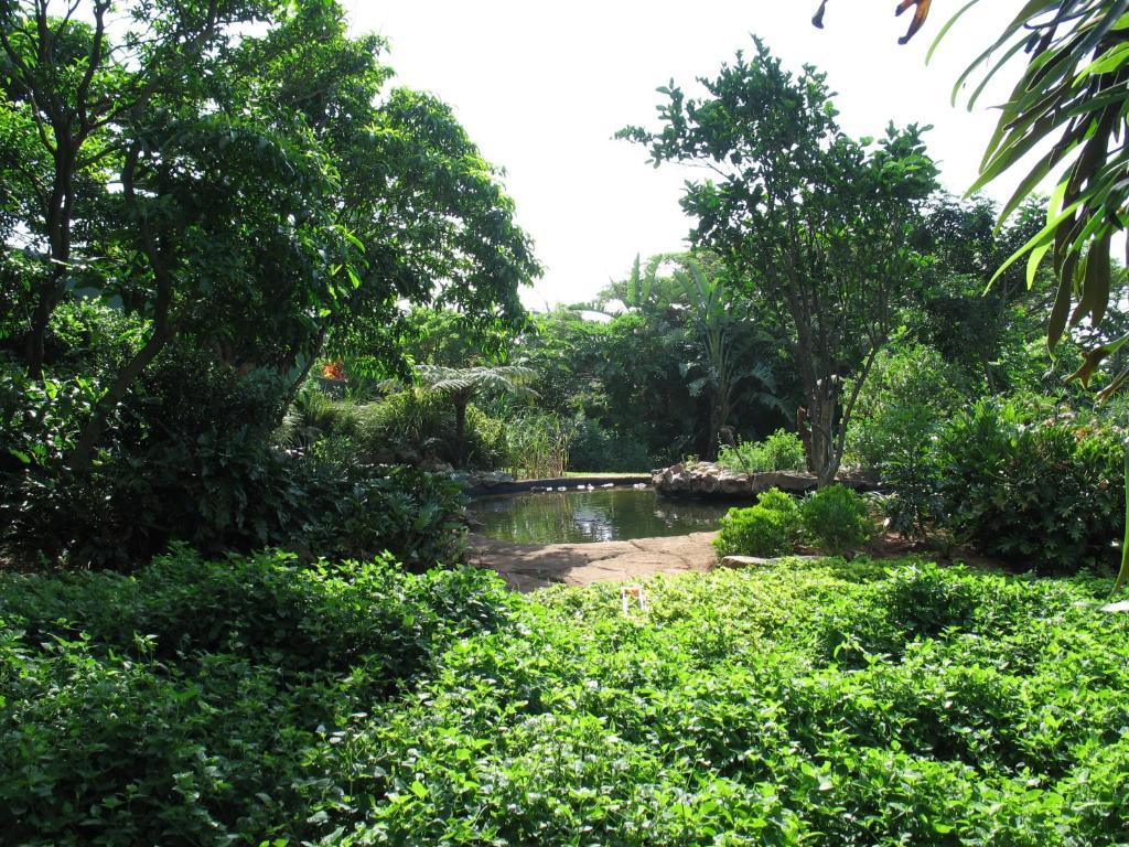 Comfort House Bed & Breakfast Ballito Exterior photo